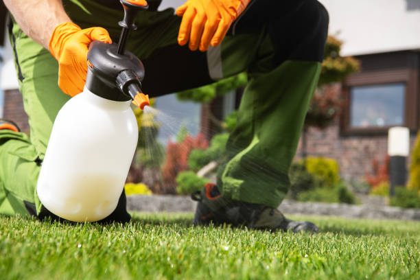 Best Wildlife Control Services  in Hanford, CA