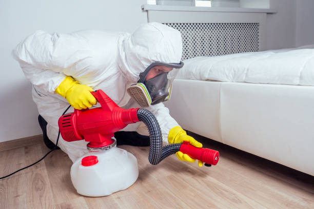 Best Flea Control Services  in Hanford, CA