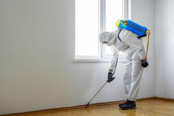Trusted Hanford, CA Pest Control Experts