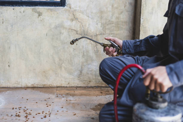 Pest Control Cost in Hanford, CA